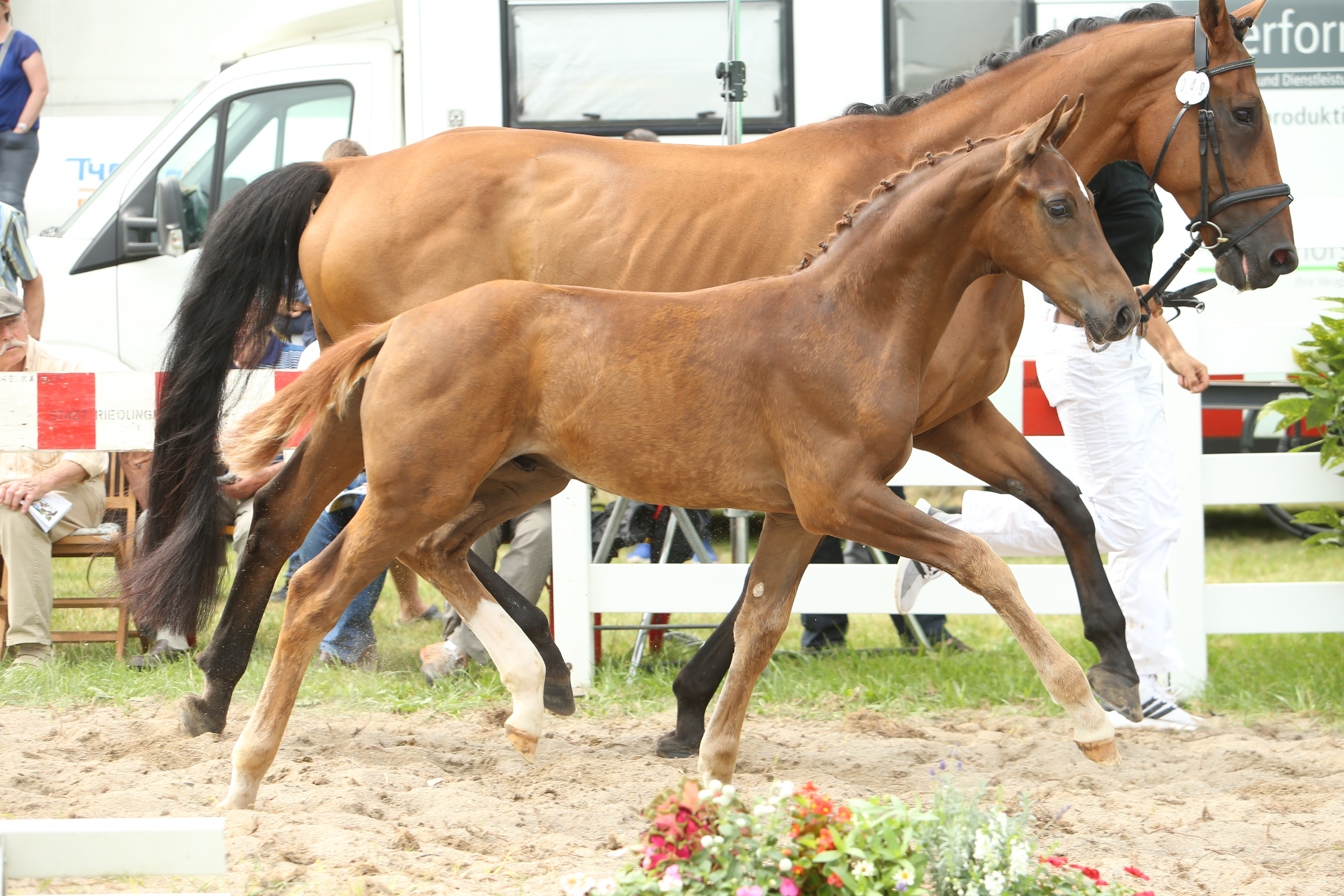 Bade-Wurtemberg
