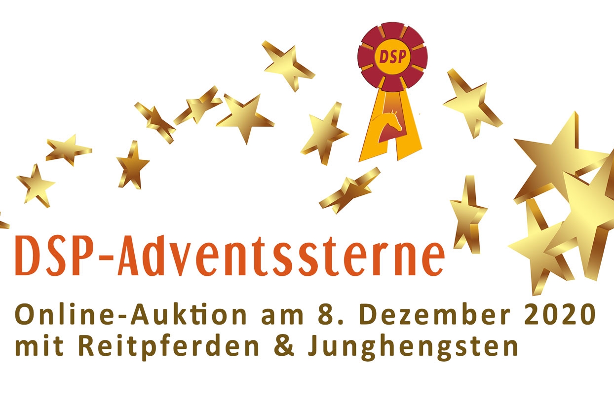 DSP Adventssterne: 2 - 8 décembre 2020