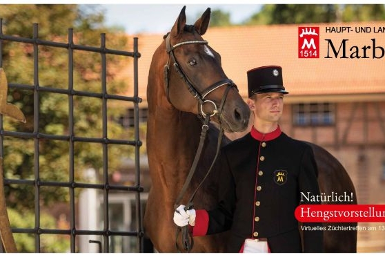 Haras d'Etat de Marbach