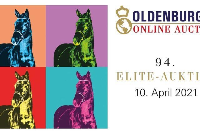 Oldenburger Reitpferde Auktion online 7 - 10 avril 2021
