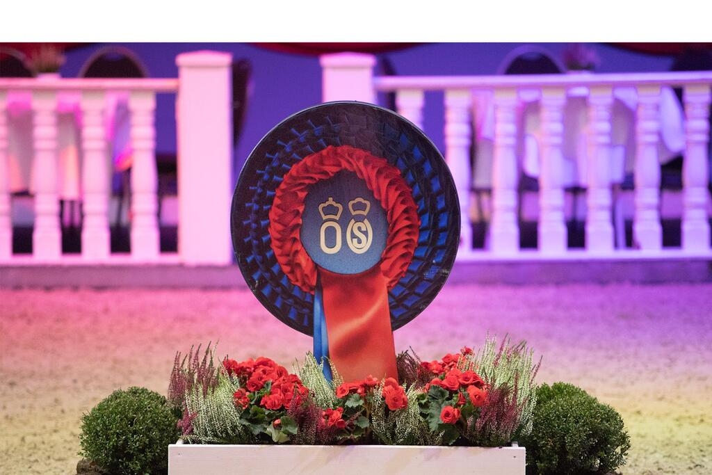 Oldenbourg - concours d'approbation sous la selle et...