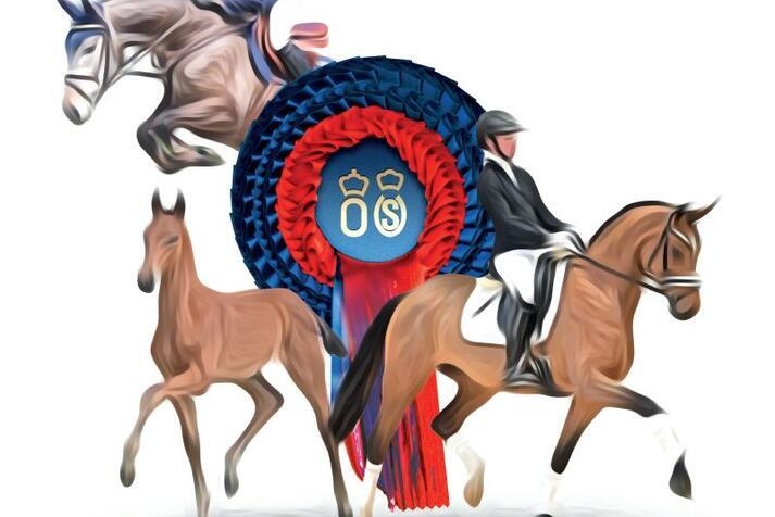 vente aux enchères élite Oldenbourg 12 et 13 juin 2021