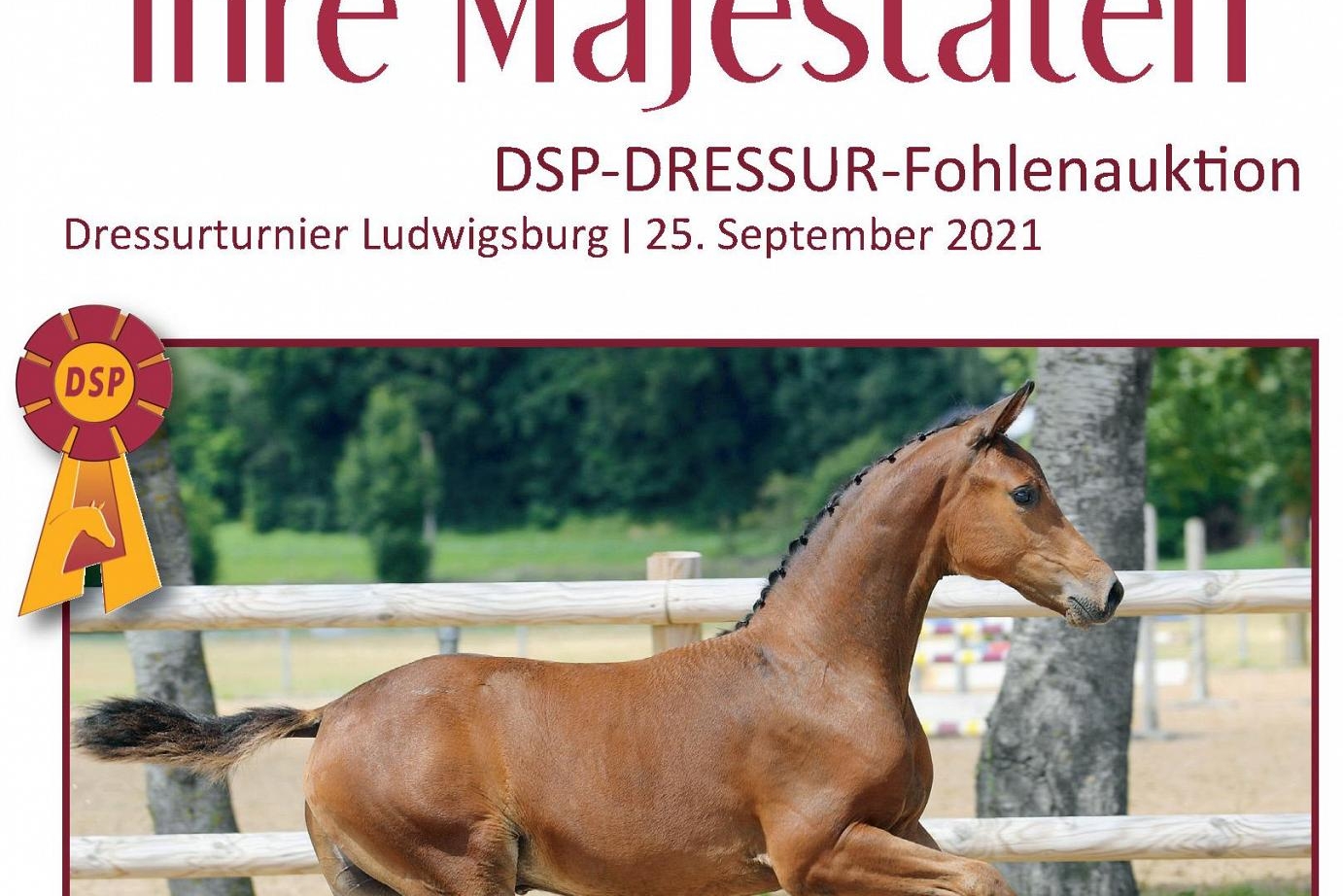 DSP vente aux enchères foals 