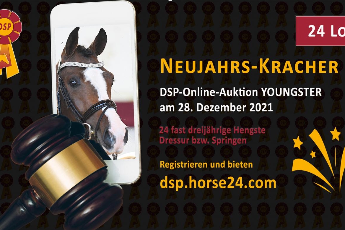 DSP Online-Auktion Youngster 
