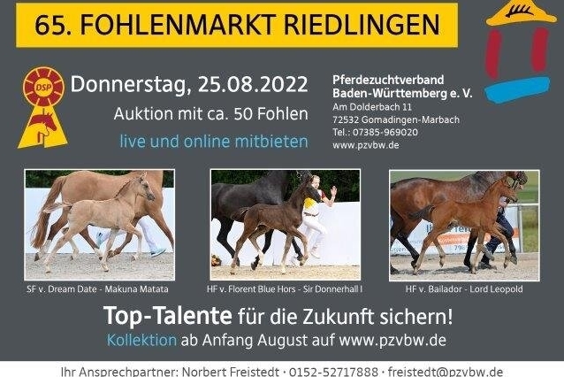 Fohlenmarkt Riedlingen 25 août 2022