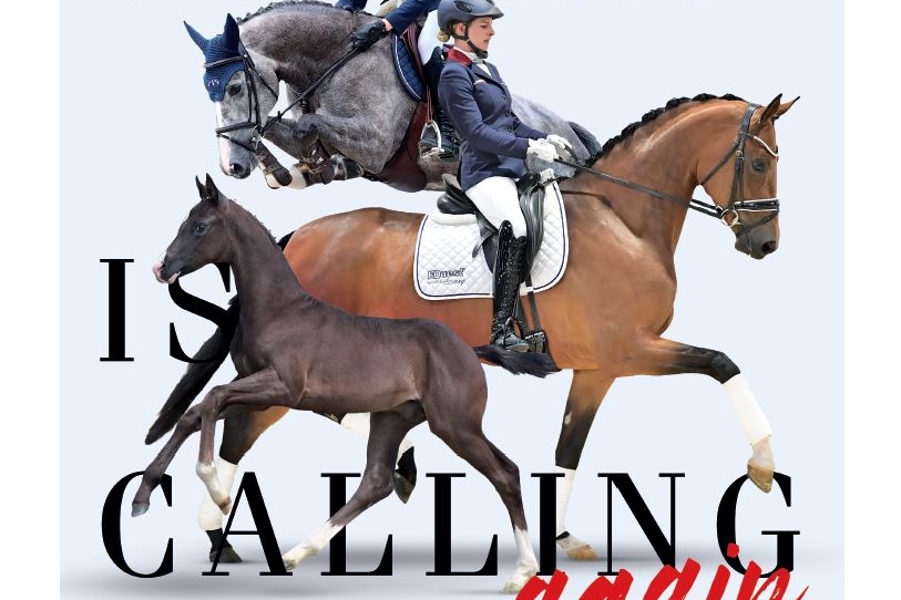 vente aux enchères élite d'Oldenburg 30 sept - 1er oct...