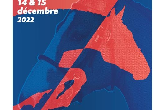 Hengstkörung Selle Français décembre 2022
