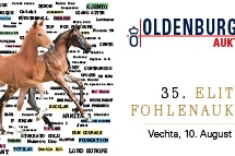 35ème vente aux enchères élite de foals d'Oldenburg...