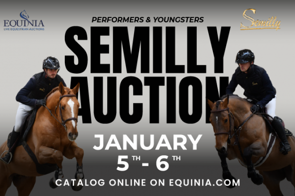 Semilly Auction 5 - 6 janvier 2025