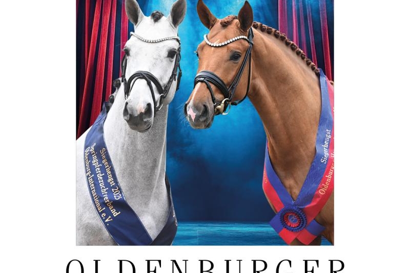 Journées des Etalons d'Oldenbourg 2025